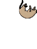 Vorschaubild der Version vom 06:11, 17. Mai 2007